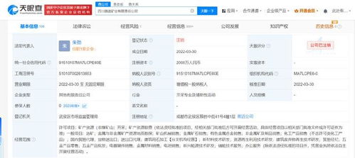 四川路橋比亞迪合資礦業(yè)公司注銷 跨界合作落幕，互聯(lián)網(wǎng)銷售模式下的礦業(yè)轉型反思
